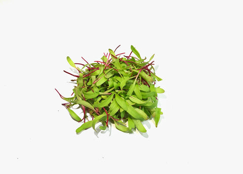 Beet Microgreens - 50 gm