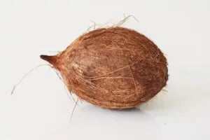 Coconut - 1 piece