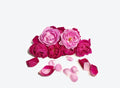 Edible Damask Rose - 50 gm