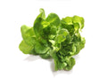 Lettuce Butterhead - 250 gm