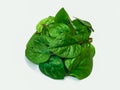 Malabar Spinach - 250 gm