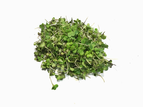 Mustard Microgreen - 50 gms