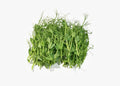 Pea Shoots - 50 gm