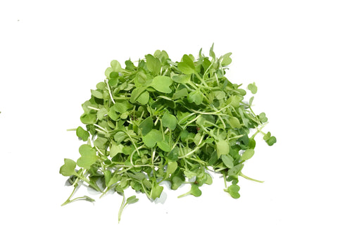 Radish Microgreens - 50 gm