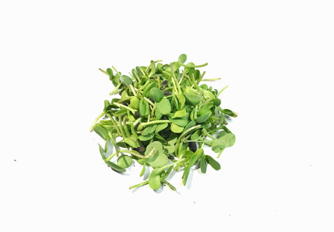 Sunflower Microgreens - 50 gm
