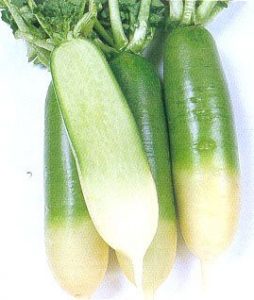 Green Daikon Radish - 250 gm